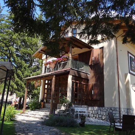 Villa Dei Pini Pescasseroli Eksteriør billede
